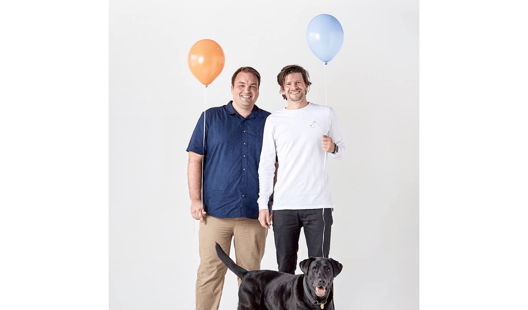 Supporting image for this article